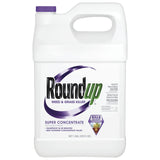 Roundup Grass u0026 Weed Killer Super Concentrate 1 gal.