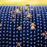 Bag-A-Nut Small Acorn Picker Upper – 36×22 Push Collector